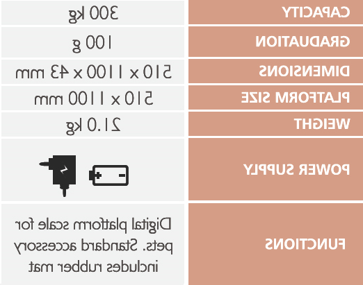 VS2000